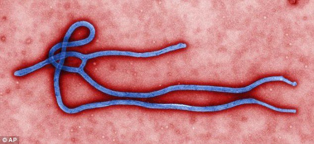 Riverside County Monitoring 2 People Who Have Low Risk of Ebola
