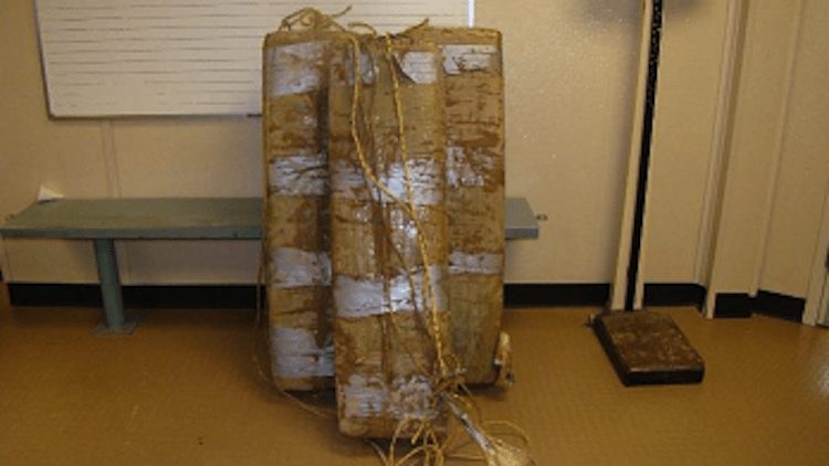 Border Patrol Swimming Pot Arrest