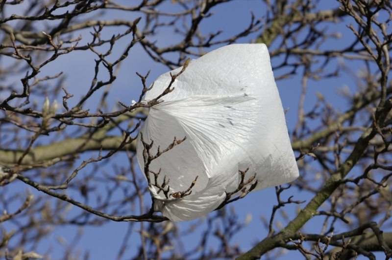 Study shows plastic bag bans result in people buying a ton of plastic bags