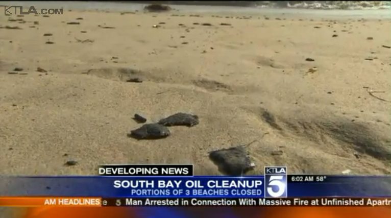 Globs of oil on beach