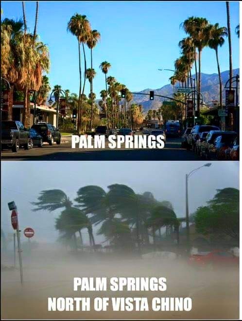 Palm Springs wind meme