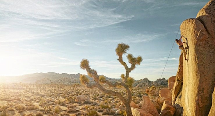 Joshua Tree National Park Just Got an ‘F’ Grade in Air Quality