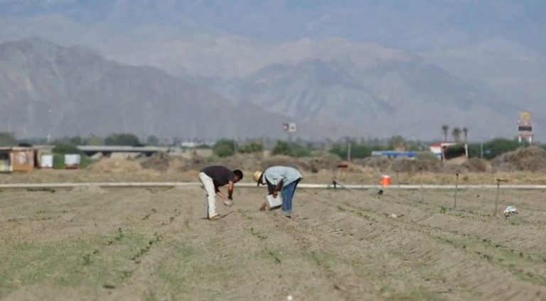 CNN Covers Water and Immigration in The Coachella Valley