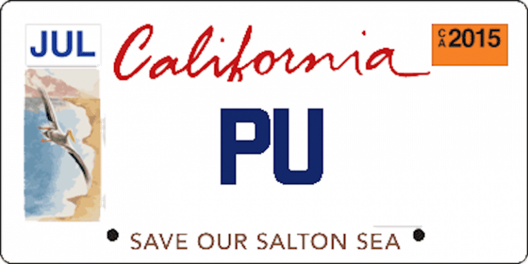 What Should Your Personalized Salton Sea License Plate Say?