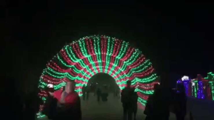 living desert tunnel gif