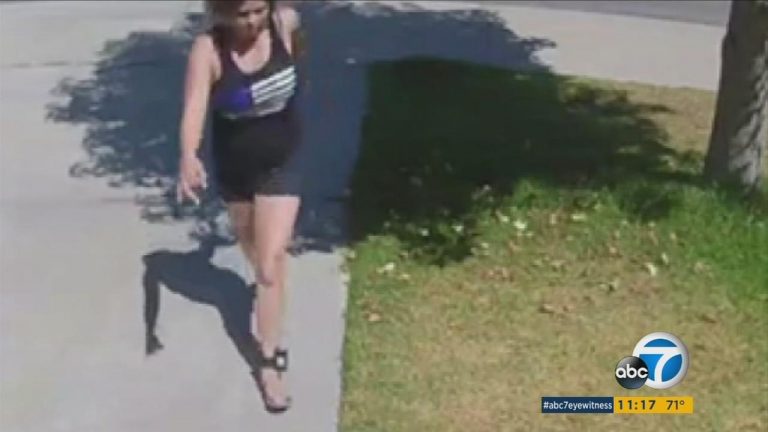 Woman with ankle monitor caught on video stealing package