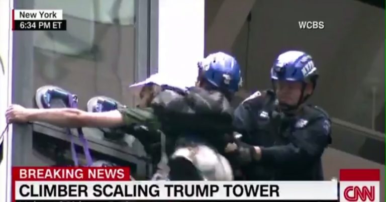 Video: NYPD end dude’s quest to climb Trump Tower with suction cups