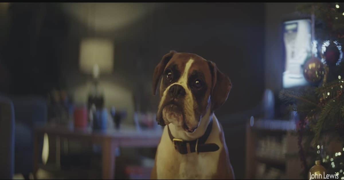 christmas commercials are back most of them demand you buy anything and everything so your family wont think that you hate them - Best Christmas Commercials christmas commercials are back most of them demand you buy anything and everything so your family wont think that you hate them - Best Christmas Commercials