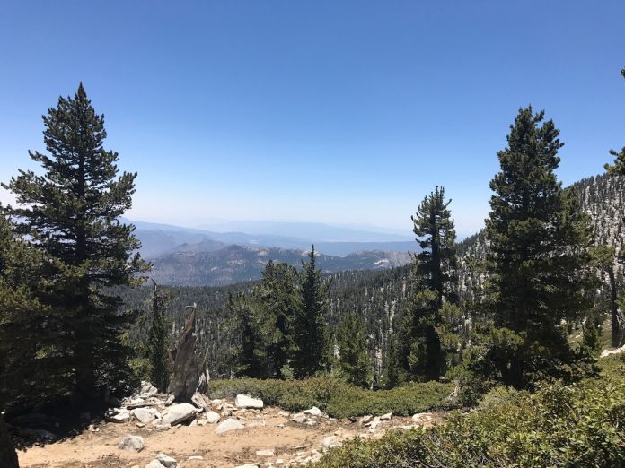 A view from up top of the Palm Springs Tram
