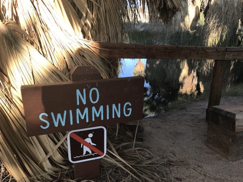 Coachella Valley Preserve Thousand Palms Oasisにある遊泳禁止のサイン