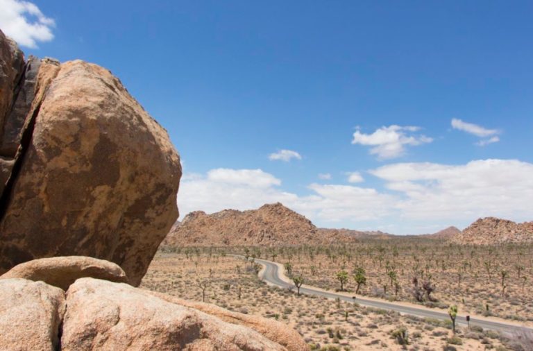 Joshua Tree National Park to close campgrounds because the toilets are full