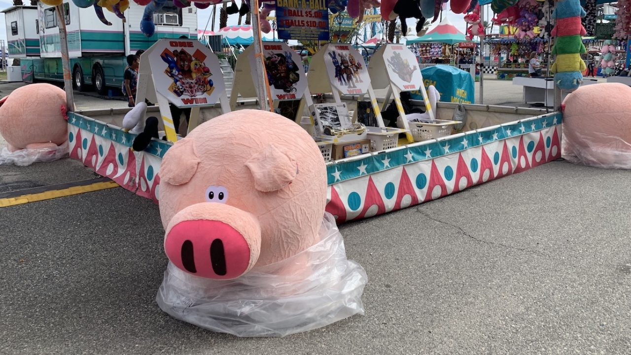 big carnival stuffed animals