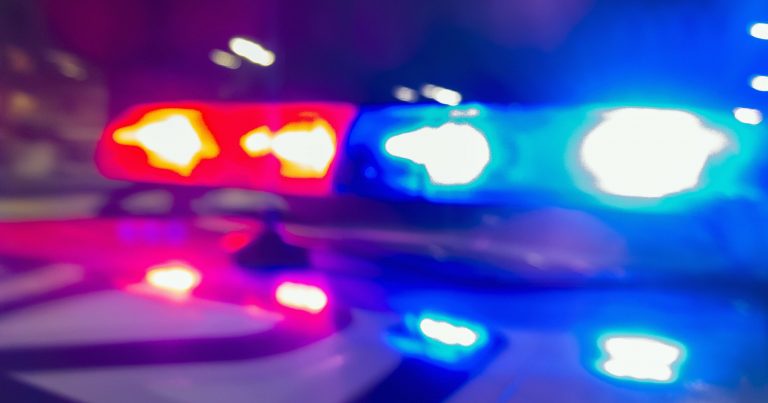 2 arrested, marijuana and firearms seized in North Shore and Indio Hills 2 arrested, marijuana and firearms seized in North Shore and Indio Hills