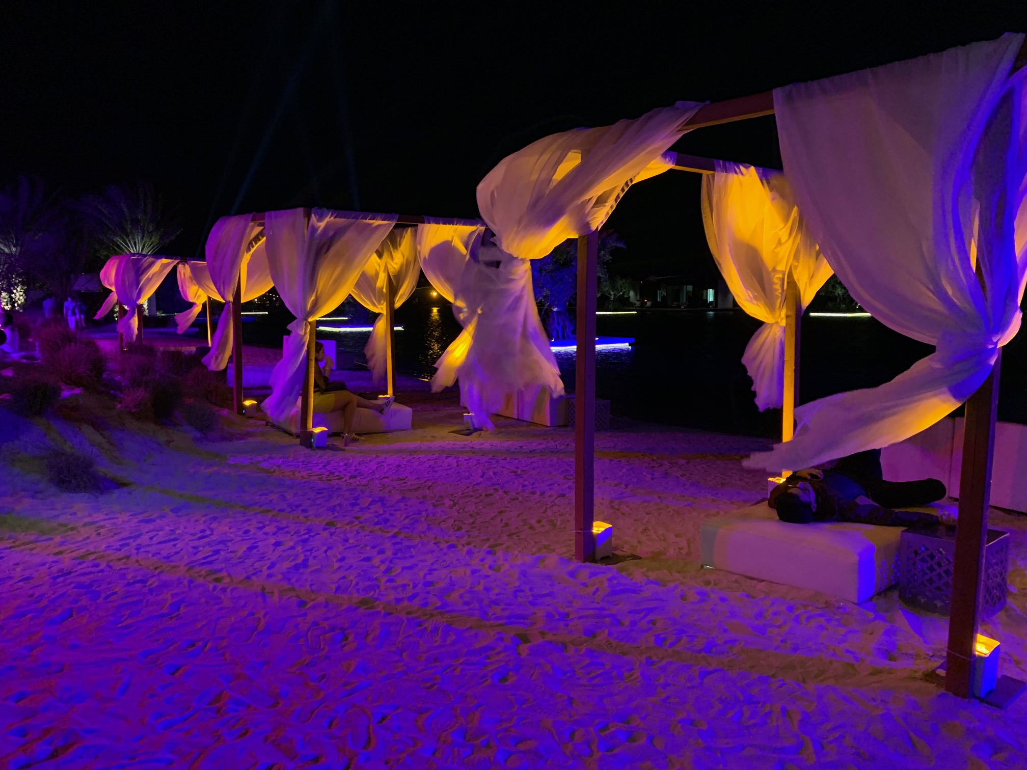 The Zenyara Estate Coachella party Here's what it was like Cactus Hugs