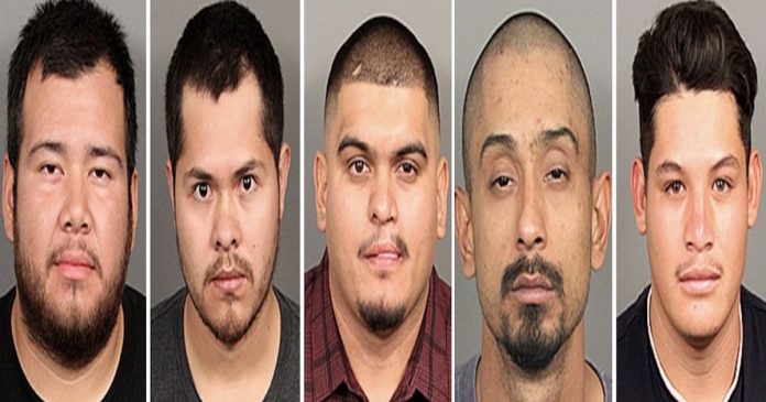 Street Racing Arrests