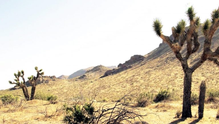 A Day in California | Video shows the beauty of So Cal in 10,000+ photos