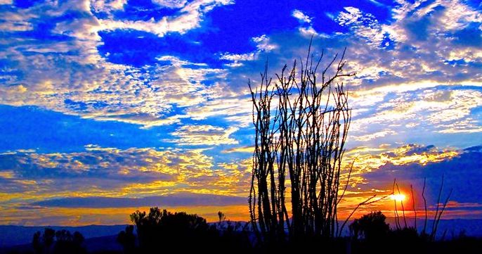 Coachella Valley coronavirus news and info | Wednesday evening, April 15 Coachella Valley coronavirus news and info | Wednesday evening, April 15